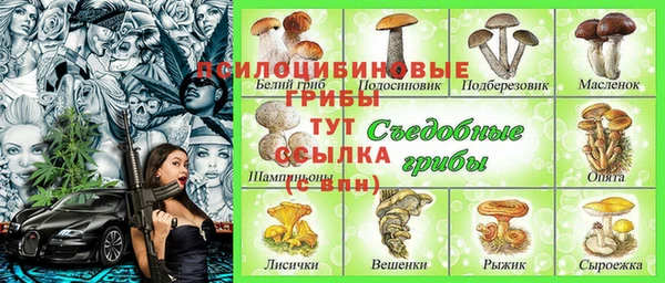 скорость Дмитриев