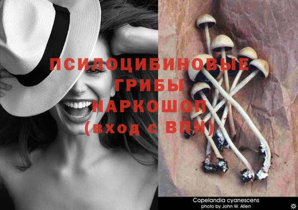 a pvp Нязепетровск