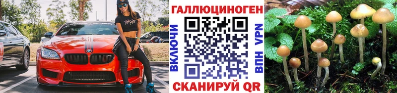 где купить наркоту  Плавск  Псилоцибиновые грибы прущие грибы 