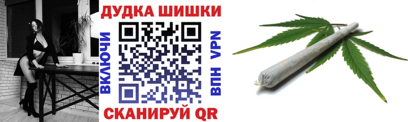 где продают наркотики  Плавск  Бошки марихуана сатива 